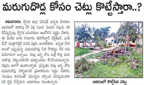 Media Coverage